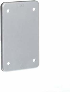 FS COVER - 1 GANG - BLANK