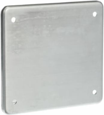 FS COVER - 2 GANG - BLANK
