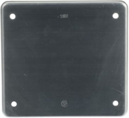 FS COVER - 2 GANG - BLANK