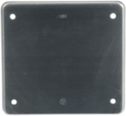 FS COVER - 2 GANG - BLANK