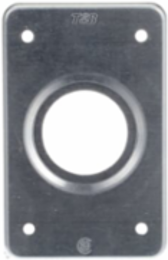 FS Cover 1 Gang 4-9/16 Inch x 2-3/4 Inch Stamped Aluminum with 1-13/32 Inch Opening