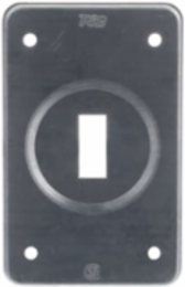 FS COVER - 1 GANG - FOR TOGGLE SWIT