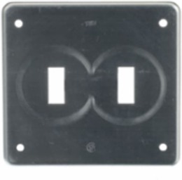 FS COVER - 2 GANG - FOR TOG. SWITCH