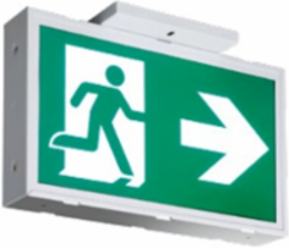 STEEL SIGN PICTO 120-347V ACDC