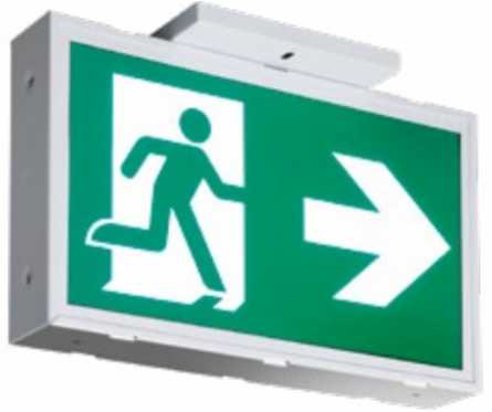 STEEL SIGN PICTO 120-347V SP