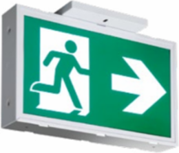 STEEL SIGN PICTO 120-347V SP