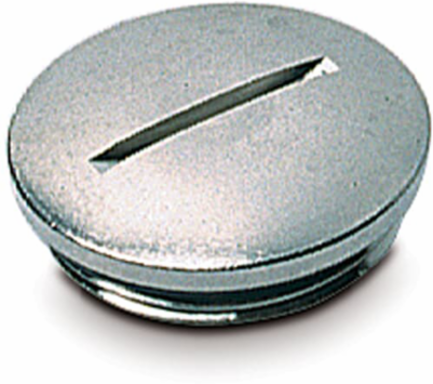 BLOCK OUT SCREW PLUG, PG21