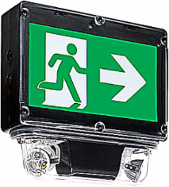 Pictogram Combination Unit, 12-5/8 Inch x 14 Inch, 60W, NEMA-4X
