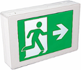 Pictogram Exit Sign, 8-7/8 Inch Height x 12-1/8 Inch Width, Nickel-Cadmium Battery, 120 Min Runtime