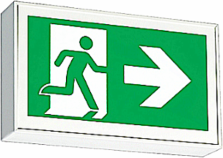 Pictogram Exit Sign, 7-5/8 Inch Height x 12-1/8 Inch Width, 120-347VAC, 6-24VDC