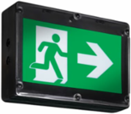 NEMA-4X PICTOGRAM EXIT SIGN UNIV