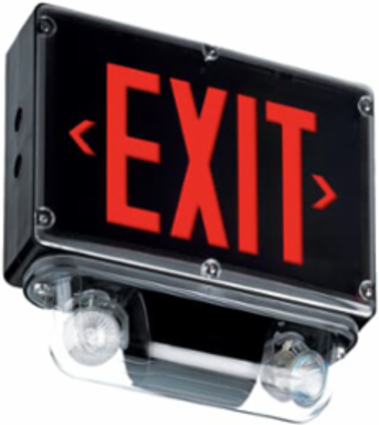 Emergency Lighting Combo Unit, 12V, 510 Lumen, 2 MR16 LED Heads