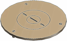 Flush Service Cover Plate, 4 Inch Diameter, Brass, UL E2969