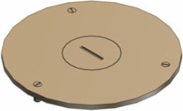 Brass Cover Plate, 4 Inch Diameter, 1 Inch NPS Plug Size
