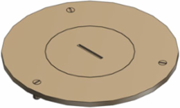 Brass Cover Plate 4 Inch Diameter for Flush Service Floor Boxes, 2 Inch Plug Size