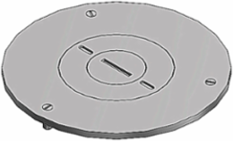 Flush Service Cover Plate, 4 Inch Diameter, Aluminum