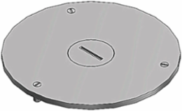 Flush Service Cover Plate, 4 Inch Diameter, 3/4 Inch NPS, Brass