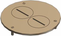 Brass Cover Plate for Flush Service Floor Boxes, 4 Inch Diameter, Duplex Plugs