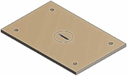 Flush Service Cover Plate, 4-1/2 Inch x 3 Inch, Brass with Gasket & Screws