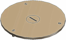 Flush Service Cover Plate for Floor Boxes, 3-1/2 Inch Diameter, Brass