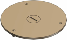 Flush Service Cover Plate 3-1/2 Inch Diameter, 1 Inch NPS Plug, Brass