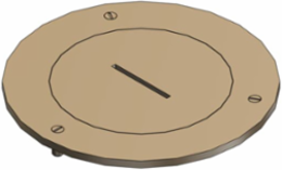 Flush Service Cover Plate 3-1/2 Inch Diameter, 2 Inch UN Plug, Brass
