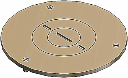 Flush Service Cover Plate, 2-13/16 Inch Diameter, Brass, Round Mounting Opening