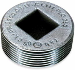 3 IN RECESSED PLUG, W/FLUSH HEAD,XP