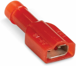 NYL FLLY INS FEM DSC 22-18 250 MYLA