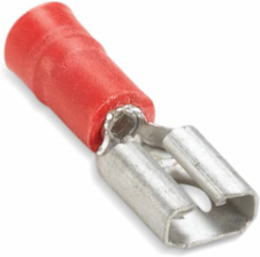 INSVIN FEM 250 DSC No22-18 RED BELT