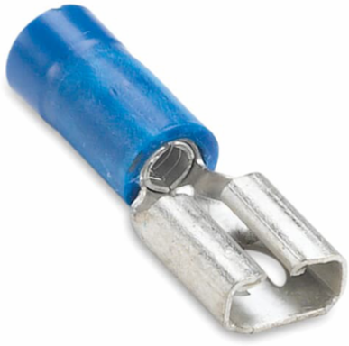 INS VIN FEM 250 DSC No16-14 MYLAR