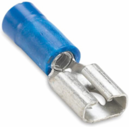INS VIN FEM 250 DSC No16-14 MYLAR