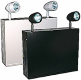 Emergency Light Unit, 13-7/8 Inch Height x 16-1/8 Inch Width, 200W