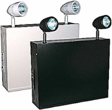Emergency Battery Unit 24V DC, 350W, 13-7/8 Inch Height, 2 Lamps