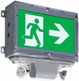 Emergency Pictogram Light, Dual MR16 LED Lamps, 12-5/8 Inch Height x 14-1/2 Inch Width