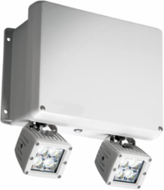 12V Emergency Lighting Battery Unit, 8 Lamps, NEMA-4X, 12-5/8 Inch x 11-1/2 Inch