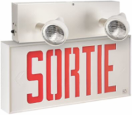 Sortie Combination Unit, 12-1/8 Inch x 20-1/8 Inch, 72W Battery Power, 2 Lamps
