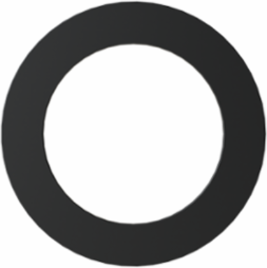 PG16 SEALING WASHER