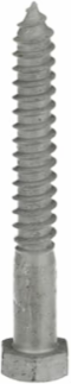 LAG SCREW 5/8 X 5 INCHES