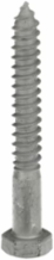 LAG SCREW 5/8 X 5 INCHES