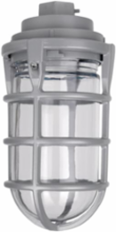 Pendant Mount Cap with Globe & Guard, 1/2 Inch, 100 Watt Maximum, Aluminum