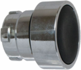 FLUSH HEAD SPRG RET ACTTR METAL CHROME A