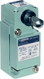 NEMA limit switch, 9007C, heavy duty, standard, steel spring return side plunger, adjustable, 10A, 600V, 1NO/1NC, NEMA 4
