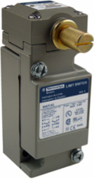 NEMA limit switch, 9007C, heavy duty, standard, spring return lever, low torque, 10A, 600V, 2NO/2NC, NEMA 4, 6P, 12, 13