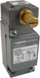 NEMA limit switch, 9007C, heavy duty, standard, neutral position, standard pretravel, 10A, 600V, 2NO/2NC, NEMA 4, 6P, 13