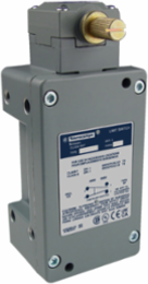 NEMA limit switch, 9007C, heavy duty, standard, maintained contact lever, 10A, 600V, 1NO/1NC, NEMA 7/9