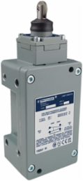NEMA limit switch, 9007C, heavy duty, standard, steel spring return roller plunger, 10A, 600V, 1NO/1NC, NEMA 7/9