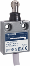 Limit switch, 9007MS, miniature, booted parallel roller plunger, 10A at 240VAC, 1NO/1NC, 9 feet of cable, NEMA 4, 6P, 13