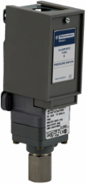 Pressure switch 9012G, adjustable scale, 2 thresholds, 3.0 to 150 PSIG