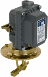 Float switch, Square D Pumptrol, closed tank, NEMA 4, flange mounted, 2 NC DPST DB contacts